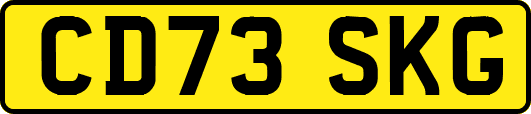 CD73SKG