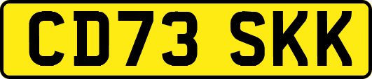 CD73SKK