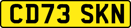 CD73SKN