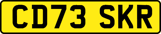 CD73SKR