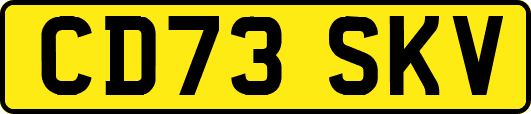 CD73SKV
