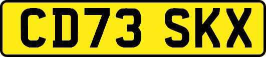 CD73SKX