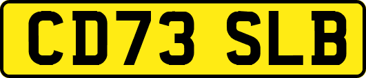 CD73SLB