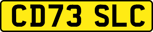 CD73SLC