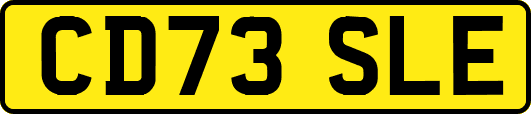 CD73SLE