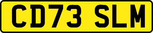 CD73SLM