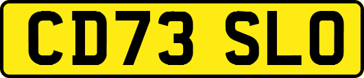 CD73SLO