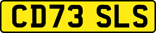 CD73SLS