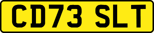 CD73SLT