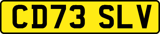 CD73SLV