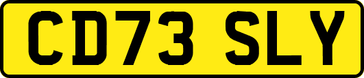 CD73SLY