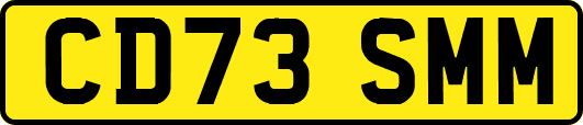 CD73SMM