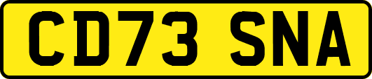 CD73SNA