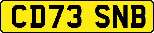 CD73SNB