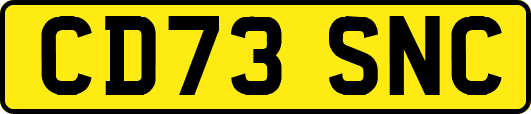CD73SNC