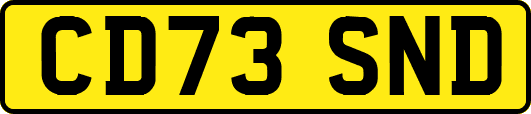CD73SND