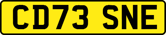 CD73SNE
