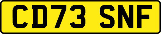CD73SNF