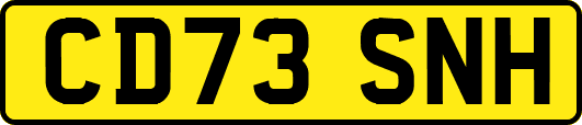 CD73SNH