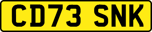 CD73SNK