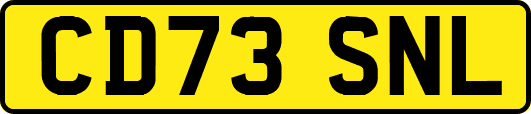 CD73SNL