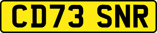 CD73SNR
