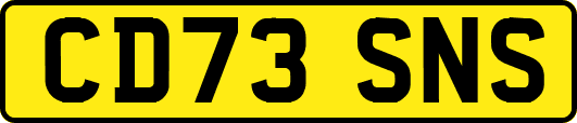 CD73SNS