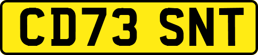 CD73SNT