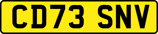 CD73SNV