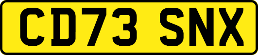 CD73SNX