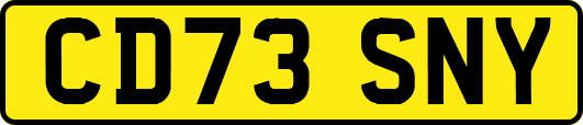 CD73SNY