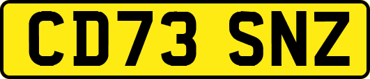 CD73SNZ