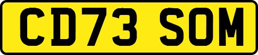 CD73SOM