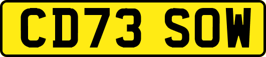 CD73SOW