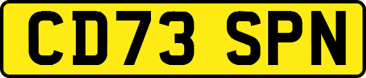 CD73SPN