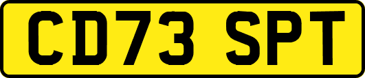 CD73SPT