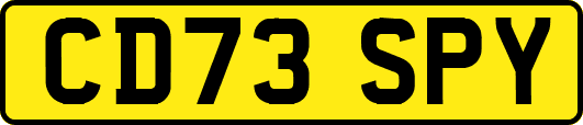 CD73SPY