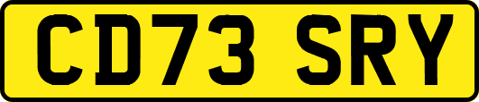 CD73SRY