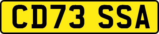 CD73SSA