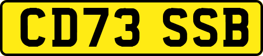 CD73SSB