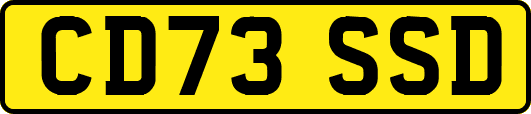 CD73SSD