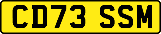CD73SSM