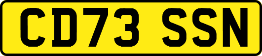 CD73SSN
