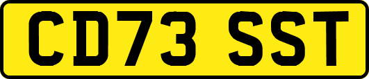 CD73SST