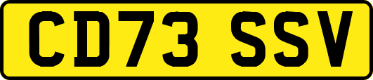 CD73SSV