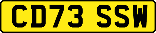 CD73SSW