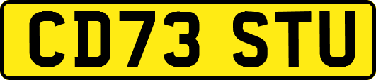 CD73STU