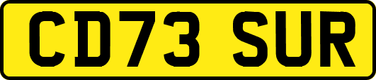 CD73SUR