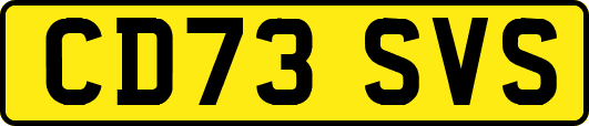 CD73SVS