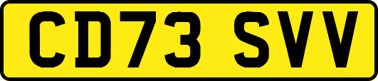 CD73SVV